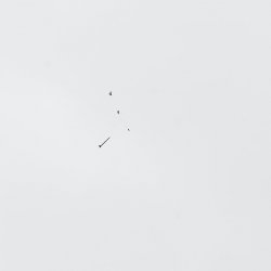 2013 Suche 29062013 Michal